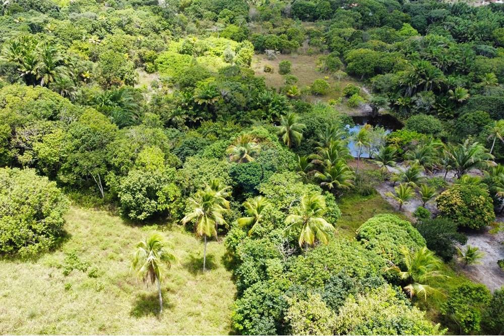 Chácara / Sítio / Fazenda - Venda - Conde , Paraíba - dji_fly_20240921_110118_240_1727098137796_photo_optimized.jpg - 722011055-34