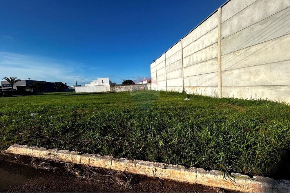 Terreno - Venda - Cacoal , Rondônia - IMG_1496.jpg - 721971001-38