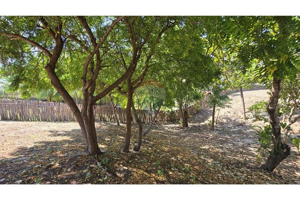 Terreno - Venda - Cruz , Ceará - 20250806_095549.jpg - 722341001-74