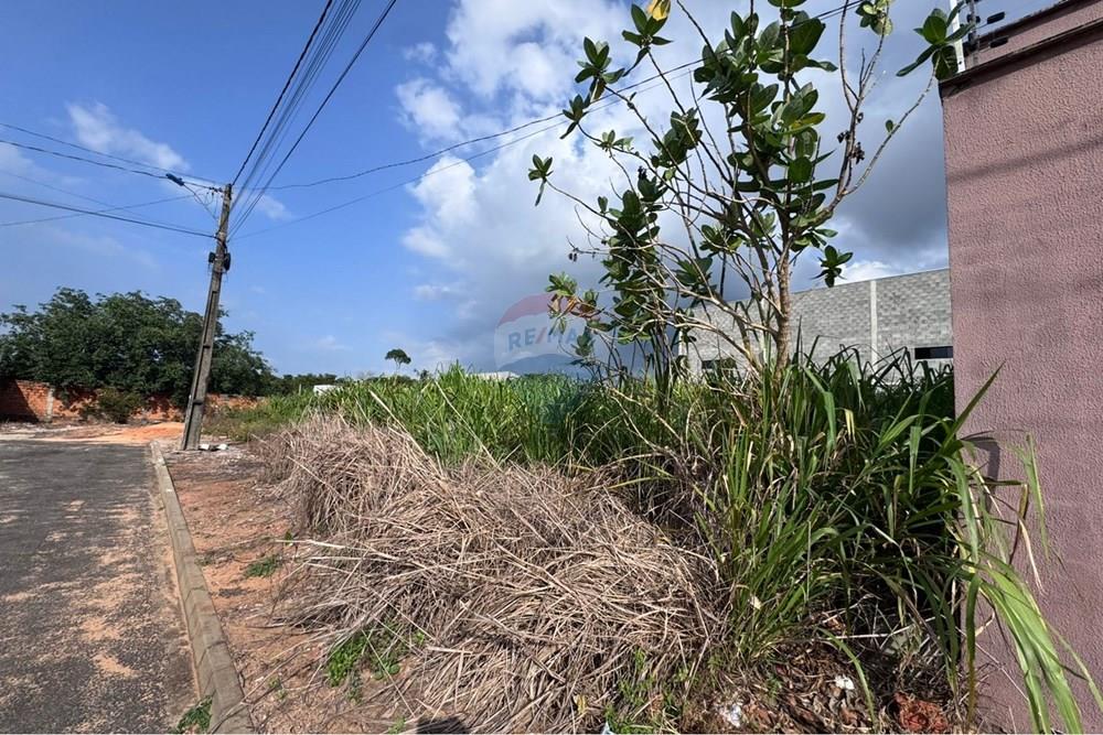 Terreno - Venda - Araguaína , Tocantins - WhatsApp Image 2026-02-02 at 16.34.11 (3).jpeg - 720991002-162