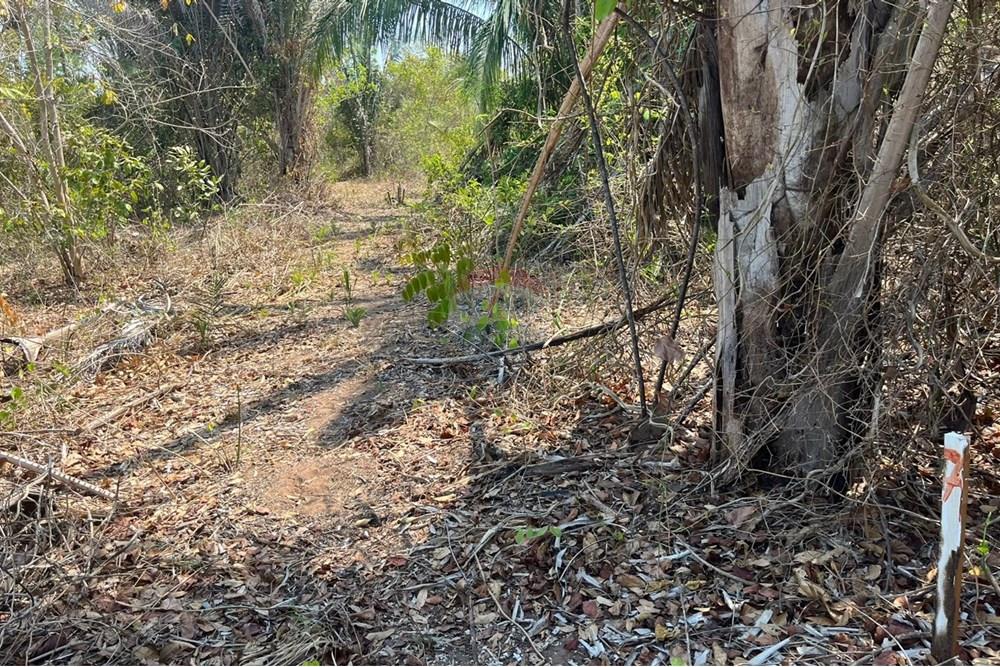 Chácara / Sítio / Fazenda - Venda - Rondonópolis , Mato Grosso - WhatsApp Image 2025-10-08 at 16.18.11 (1).jpeg - 720611061-15