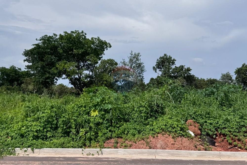 Terreno - Venda - Araguaína , Tocantins - WhatsApp Image 2026-02-02 at 21.41.07 (3).jpeg - 720991002-165