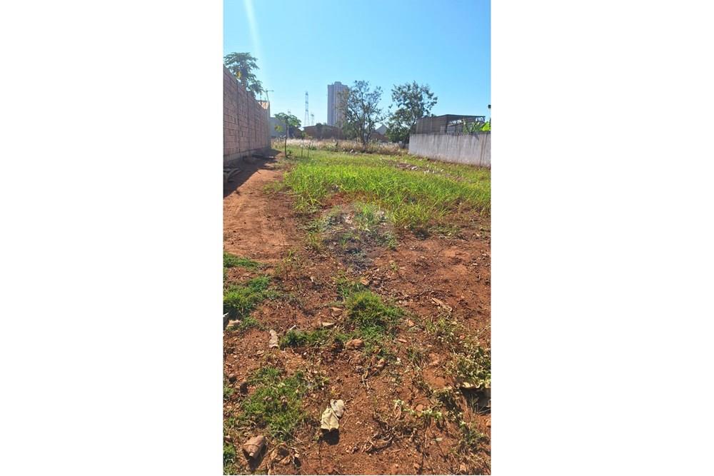 Terreno - Venda - Rondonópolis , Mato Grosso - b4297a26-170b-4d4e-b9bd-f38e7643b039.jpeg - 721981063-7