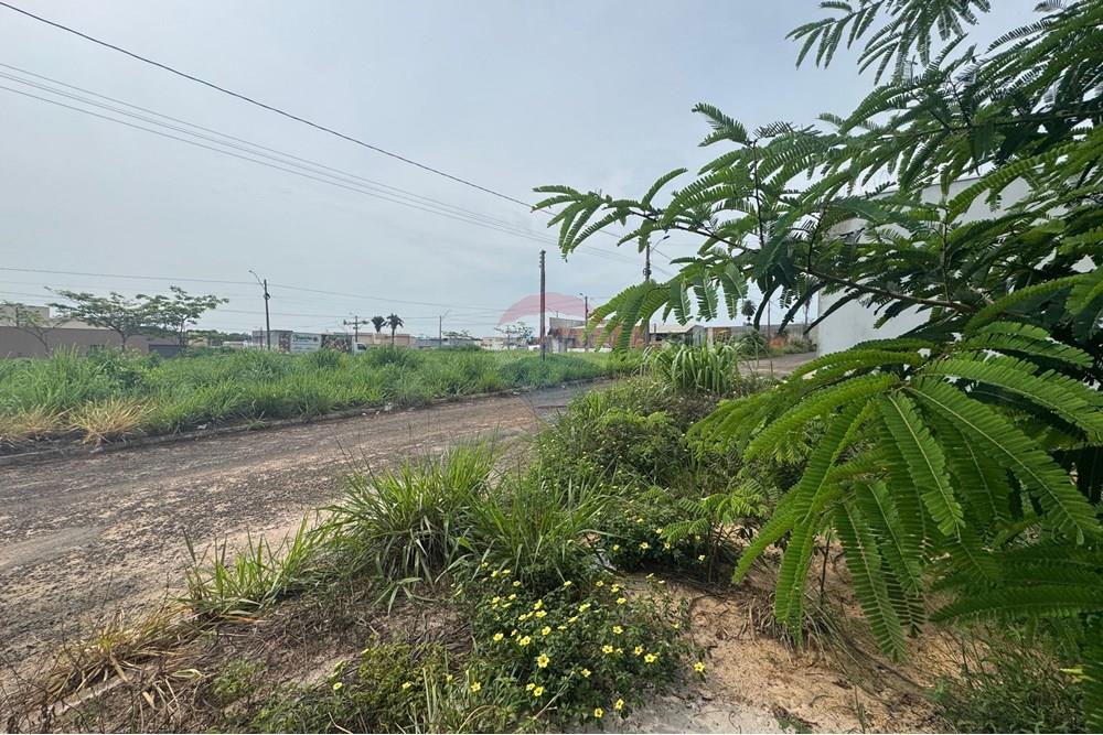 Terreno - Venda - Araguaína , Tocantins - WhatsApp Image 2025-12-17 at 14.05.55 (2).jpeg - 722171042-3