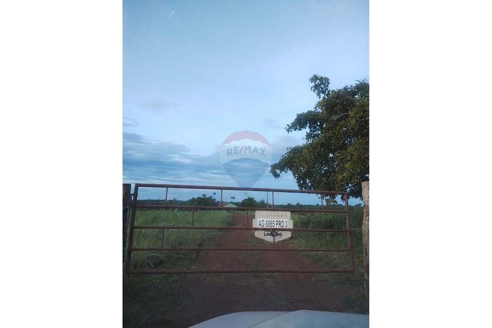 Chácara / Sítio / Fazenda - Venda - Juscimeira , Mato Grosso - WhatsApp Image 2026-03-05 at 10.16.27.jpeg - 721981071-17