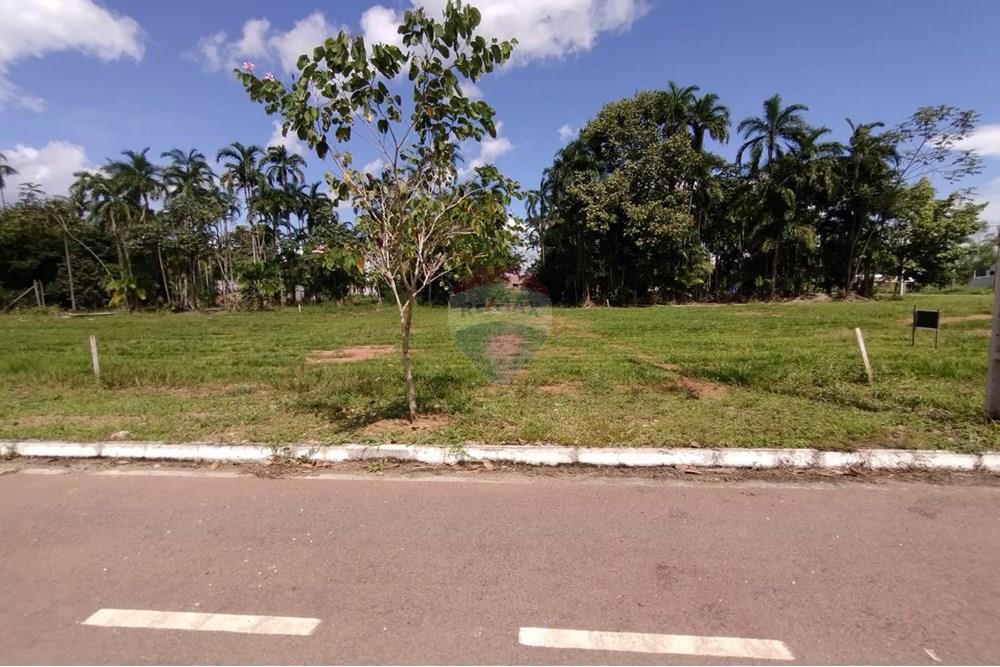 Terreno - Venda - Sinop , Mato Grosso - WhatsApp Image 2025-04-03 at 15.28.19 (1).jpeg - 721561033-5