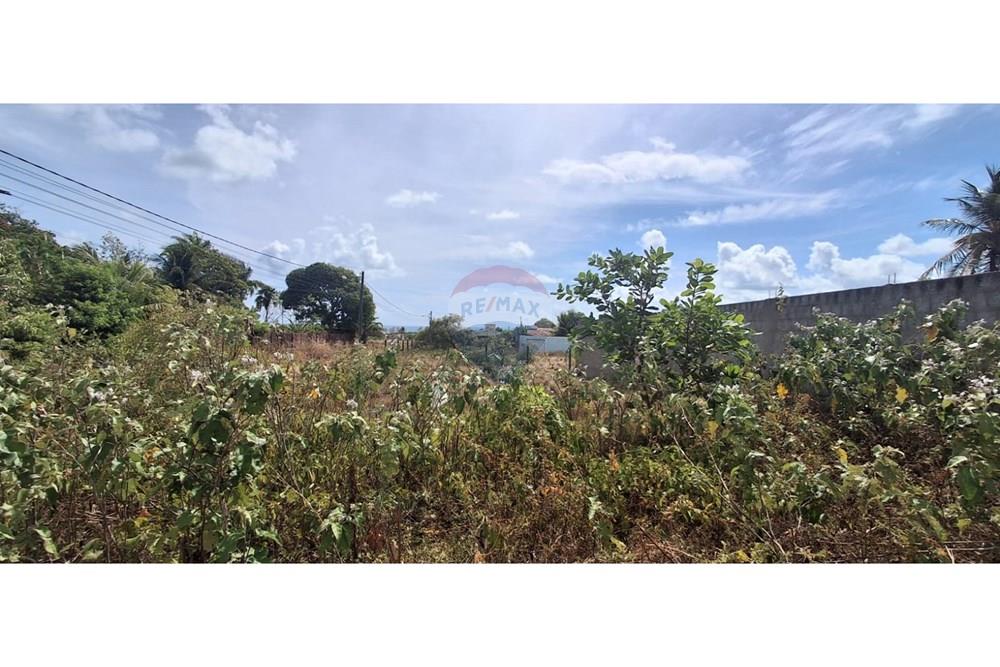 Terreno - Venda - Conde , Paraíba - Imagem do WhatsApp de 2025-12-01 à(s) 09.26.39_08ed4caf.jpg - 720871029-82