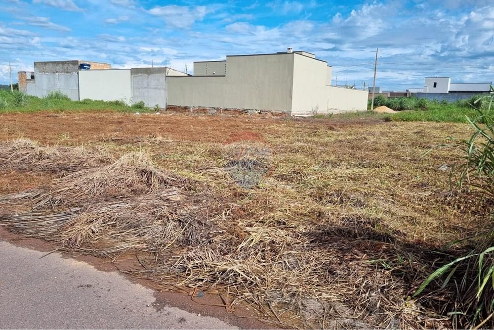 Terreno - Venda - Confresa , Mato Grosso - WhatsApp Image 2026-01-27 at 10.43.31.jpeg - 720641046-17