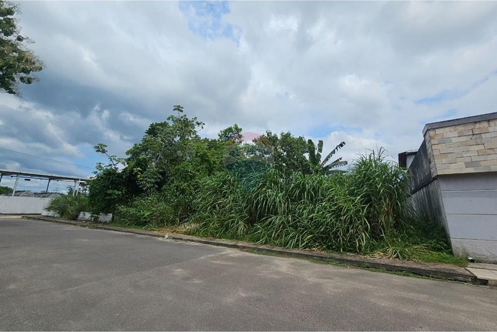 Terreno - Venda - Manaus , Amazonas - IMG-20260202-WA0022.jpg - 720401095-17