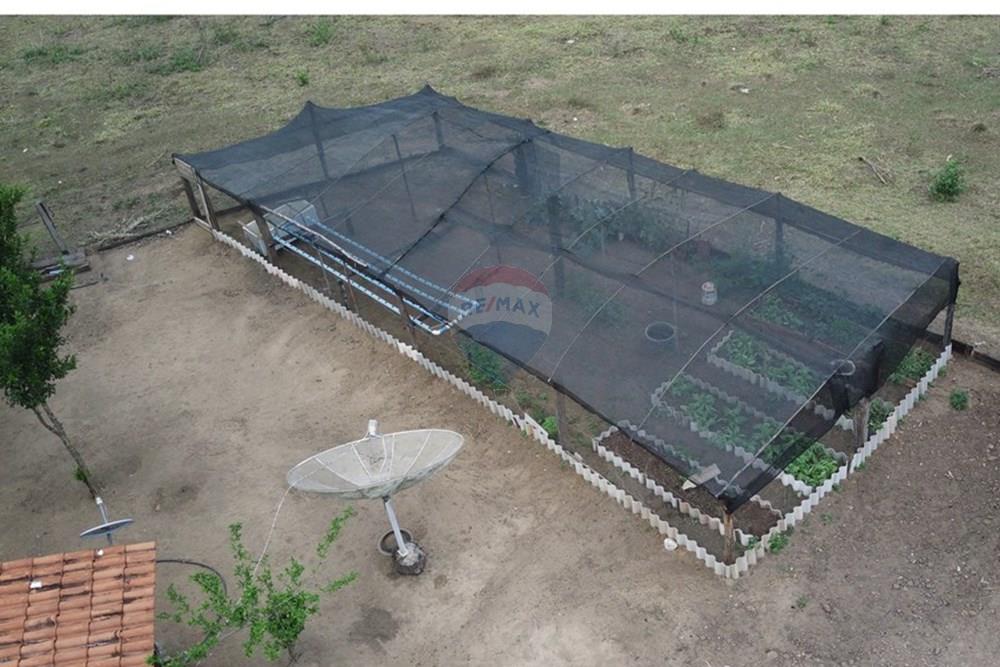 Chácara / Sítio / Fazenda - Venda - Dom Aquino , Mato Grosso - IMG_7876.JPG - 720611016-36