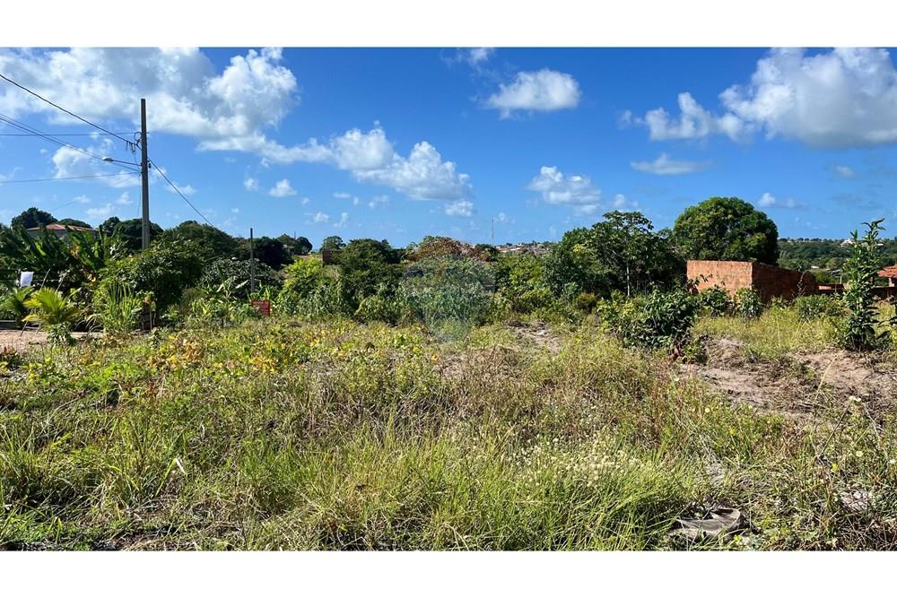 Terreno - Venda - Conde , Paraíba - WhatsApp Image 2025-05-12 at 10.40.36.jpeg - 720871004-197