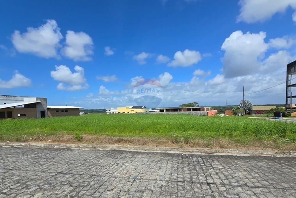 Terreno - Venda - Conde , Paraíba - 5d538f46-417f-427c-9e53-5dfb06ad2eb3.jpg - 720871056-15