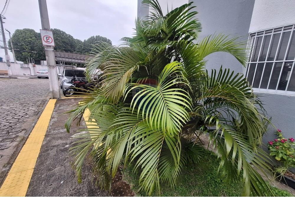 Apartamento - Venda - Parnamirim , Rio Grande do Norte - WhatsApp Image 2025-07-27 at 22.15.45 (1).jpeg - 720891151-49