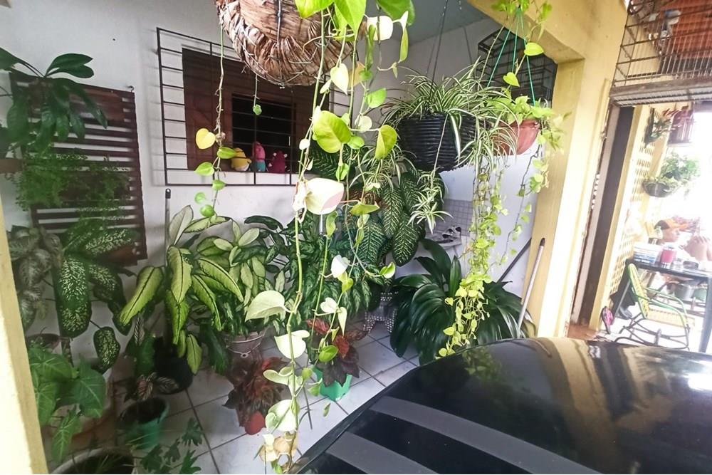 Casa - Venda - Natal , Rio Grande do Norte - cedfbdad-7b4e-453e-9f59-ea3949fb8d70.jpg - 720621067-8