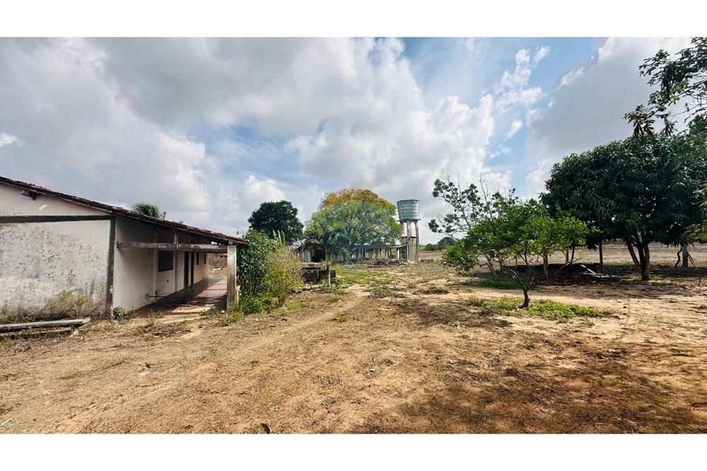 Chácara / Sítio / Fazenda - Venda - São José de Mipibu , Rio Grande do Norte - IMG-20250206-WA0025.jpg - 720811013-67