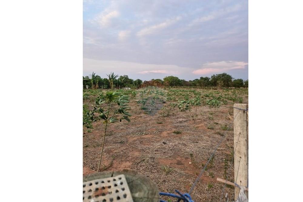 Chácara / Sítio / Fazenda - Venda - Rondonópolis , Mato Grosso - IMG-20251027-WA0029.jpg - 721981068-20
