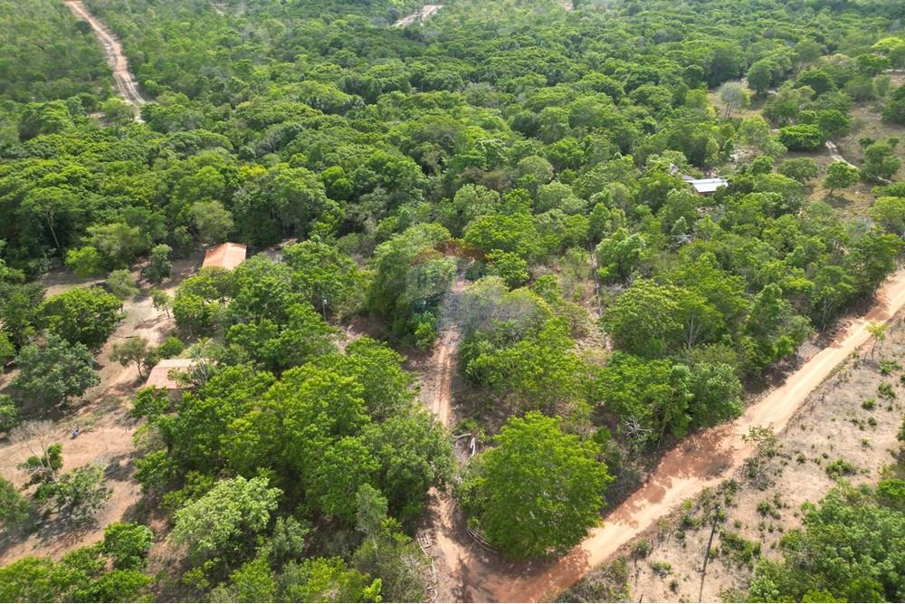 Chácara / Sítio / Fazenda - Venda - Babaçulândia , Tocantins - DJI_0096.JPG - 720991008-82