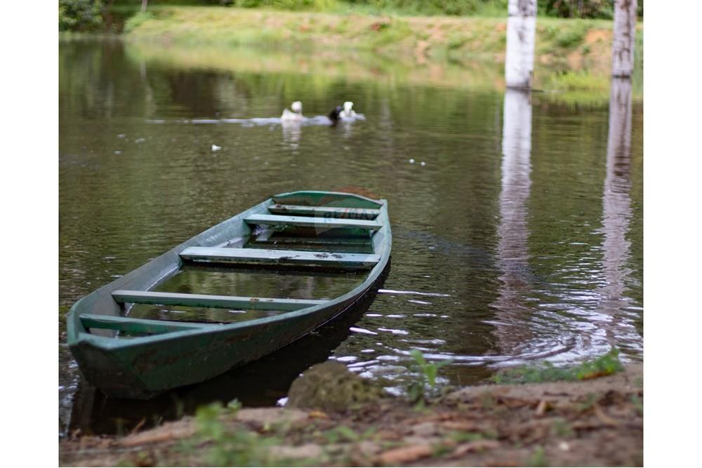 Woningbouw - Boerderij - Novo Airão , Amazonas - BR - IMG_7496.jpg - 720721055-29