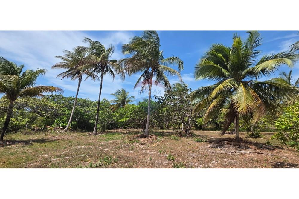 Terreno - Venda - Acaraú , Ceará - 1000304686.jpg - 722341001-114