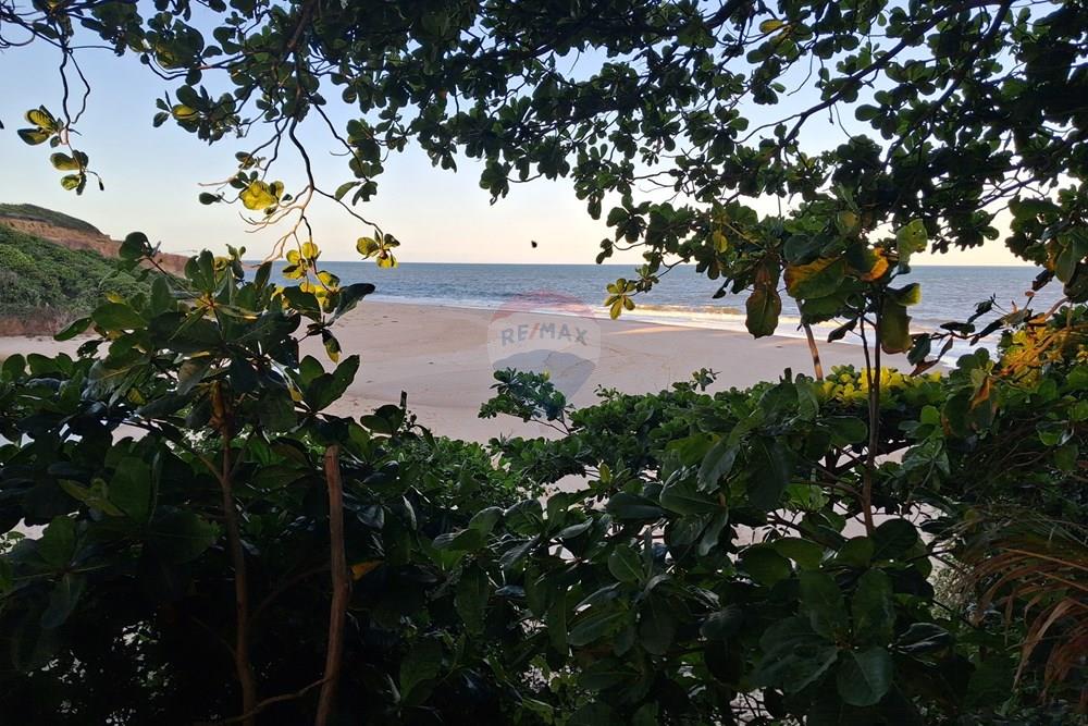 Terreno - Venda - Pitimbu , Paraíba - 20260310_170211.jpg.jpeg - 720871044-118