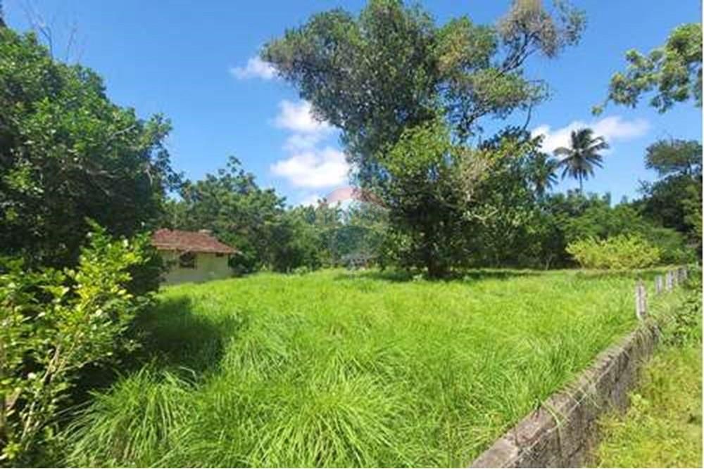 Chácara / Sítio / Fazenda - Venda - Conde , Paraíba - L_a4ddacd2-235e-40f6-aa2b-0ddae854ae41.jpg - 722011055-33