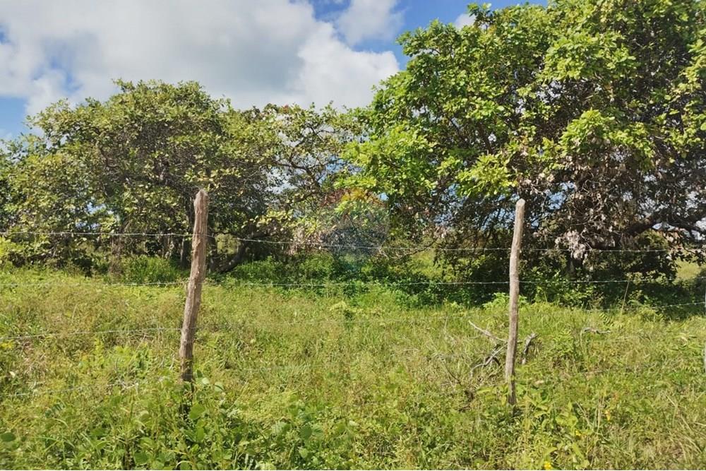 Terreno - Venda - Conde , Paraíba - 3f483e59-f722-4fda-af01-a449546dd00b.jpg - 720871056-7