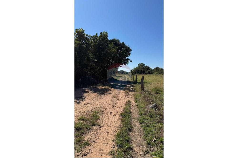 Fazenda - Venda - Santo Antônio do Leverger , Mato Grosso - b661f6ed-8adf-48f6-ae09-a27a1e9330e5 (1).jpeg - 720611035-41