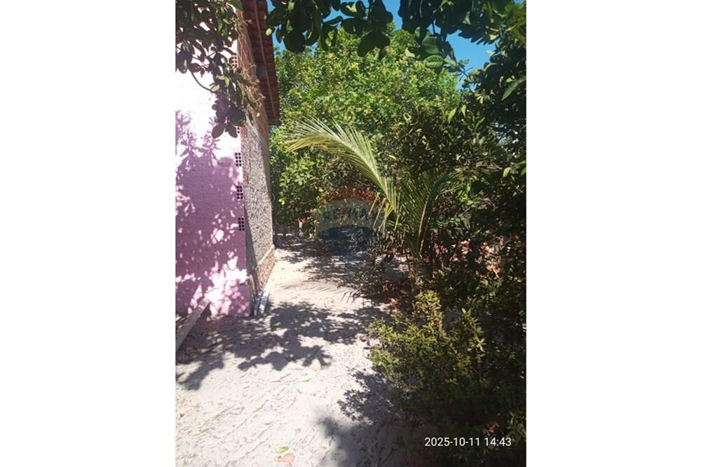 Chácara / Sítio / Fazenda - Venda - Parnaíba , Piauí - WhatsApp Image 2025-10-15 at 09.35.36 (1).jpeg - 722361007-3