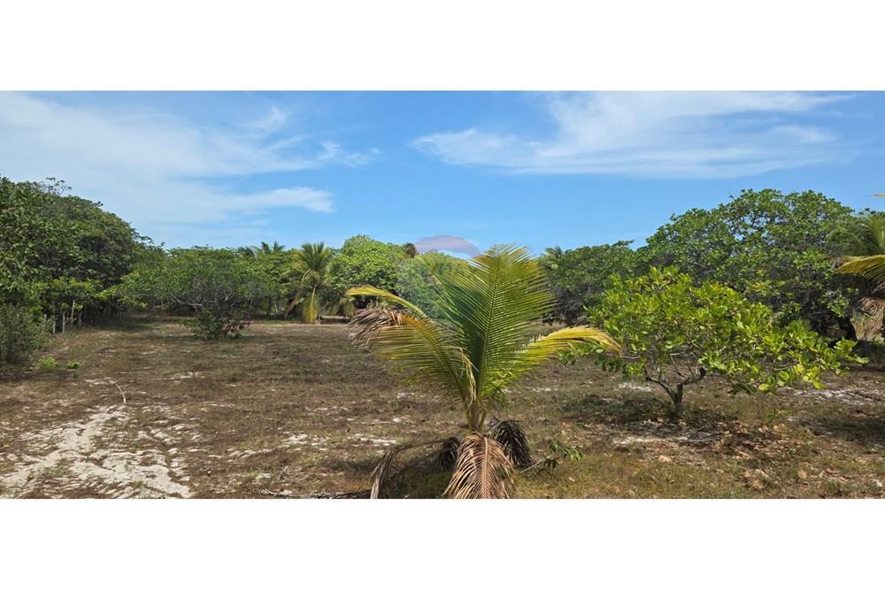 Terreno - Venda - Acaraú , Ceará - 1000304701.jpg - 722341001-114