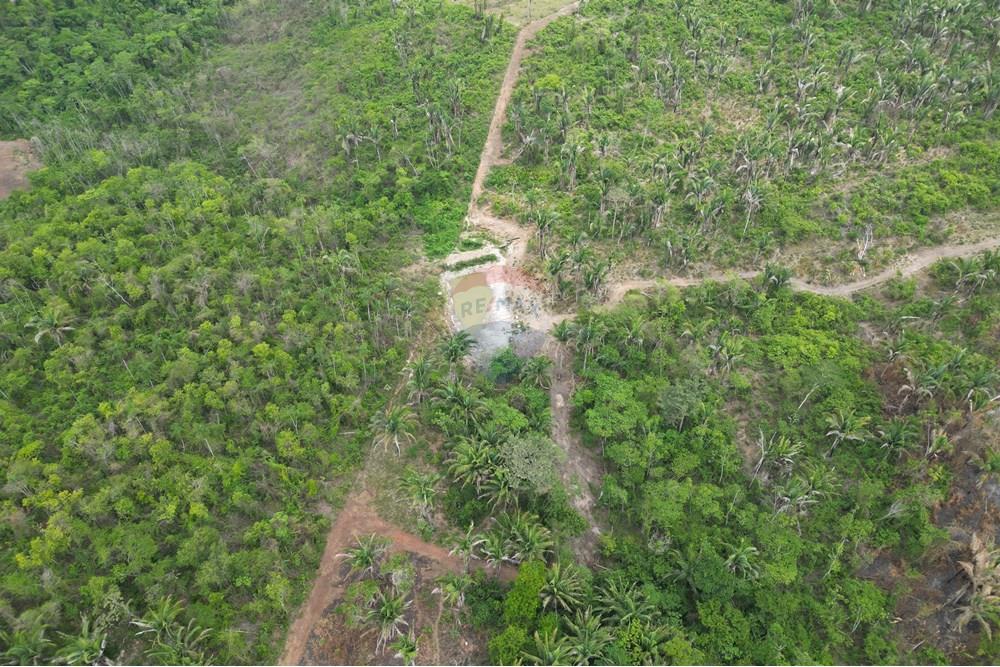 Chácara / Sítio / Fazenda - Venda - Araguaína , Tocantins - DJI_0044.JPG - 720991045-15