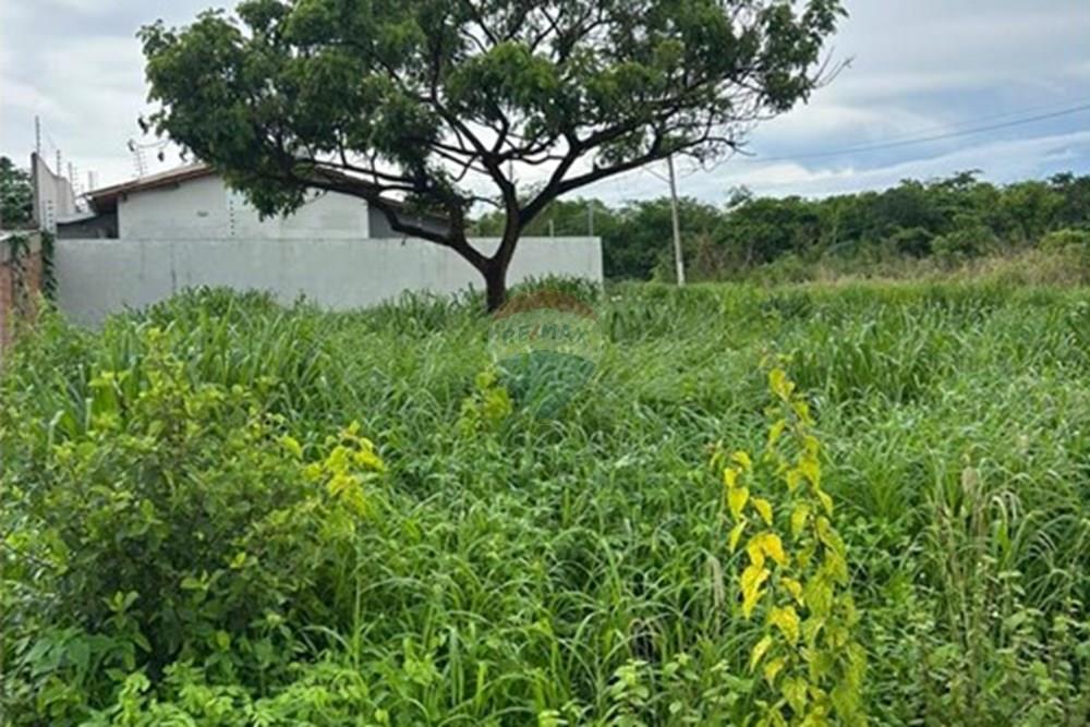 Terreno - Venda - Rondonópolis , Mato Grosso - WhatsApp Image 2026-01-16 at 14.52.45 (2).jpeg - 720851039-19