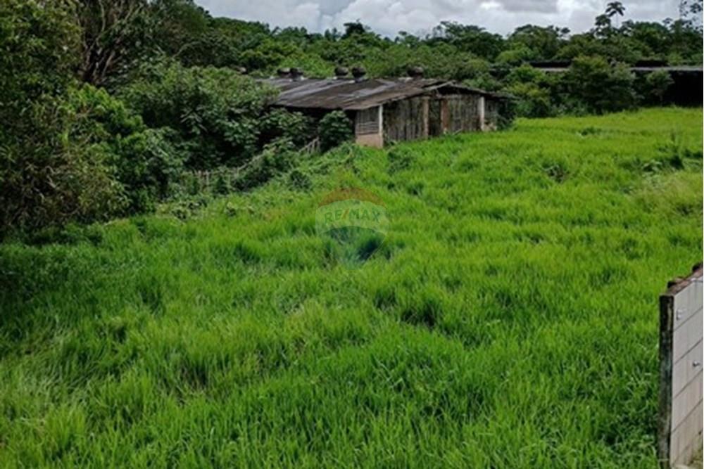 Terreno - Venda - Benevides , Pará - PHOTO-2025-12-22-20-39-31 (1).jpg - 720921008-100
