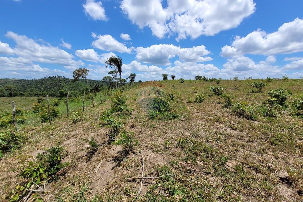 Chácara / Sítio / Fazenda - Venda - Areia , Paraíba - 20230207_105438.jpg - 722011055-52