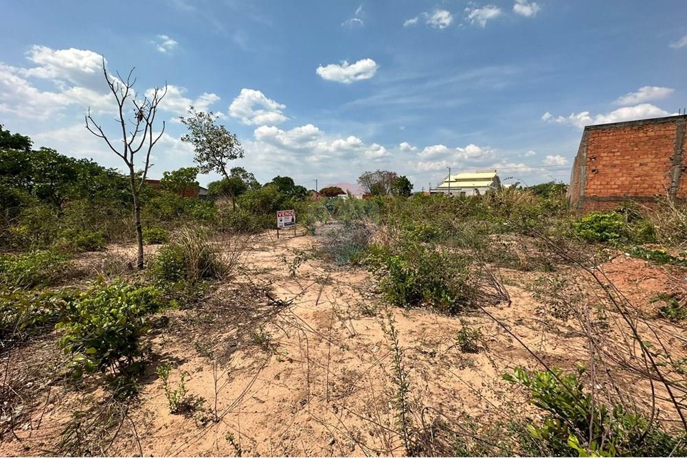 Terreno - Venda - Araguaína , Tocantins - WhatsApp Image 2025-10-29 at 16.26.04.jpeg - 720991005-87