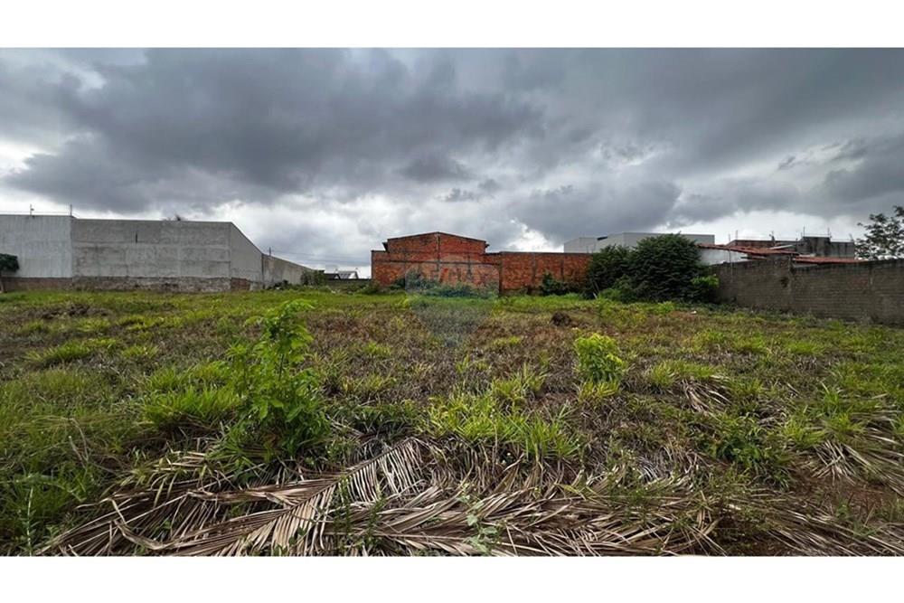 Terreno - Venda - Araguaína , Tocantins - WhatsApp Image 2025-11-17 at 15.29.49 (2).jpeg - 720991032-40