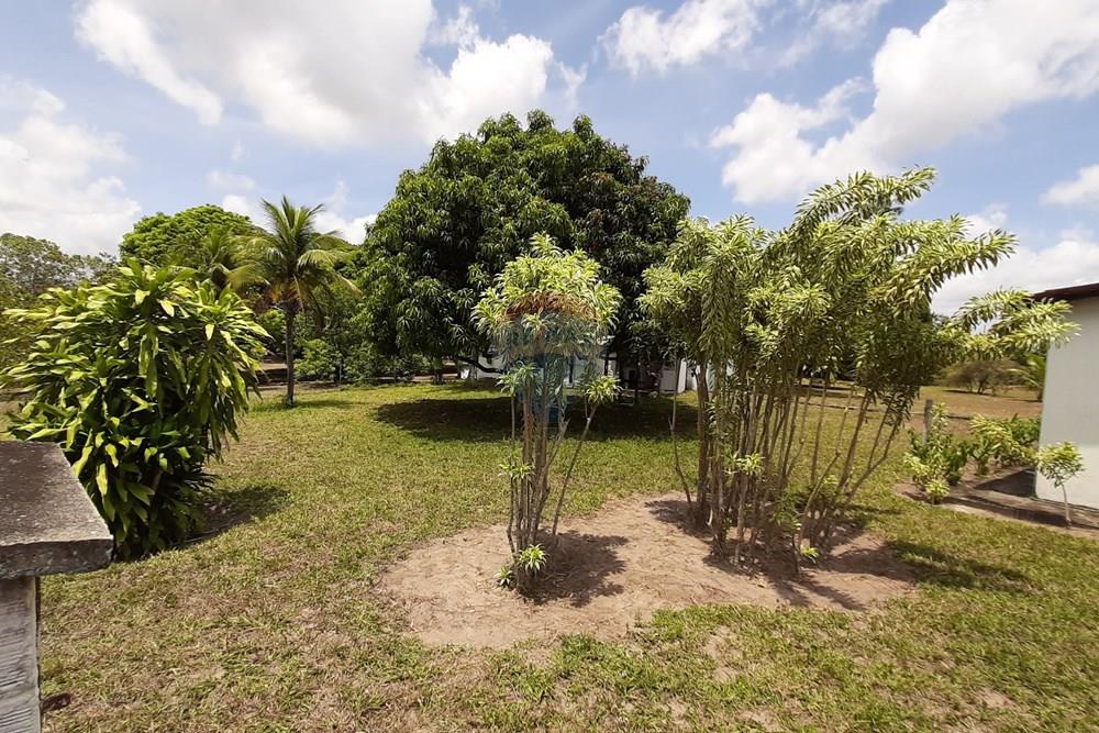 Terreno - Venda - Goiana , Pernambuco - 20201103_103056.jpg - 722011055-50