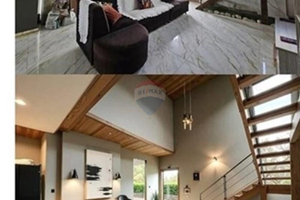 Casa - Venda - Manaus , Amazonas - passaro1.jpeg - 720401084-16