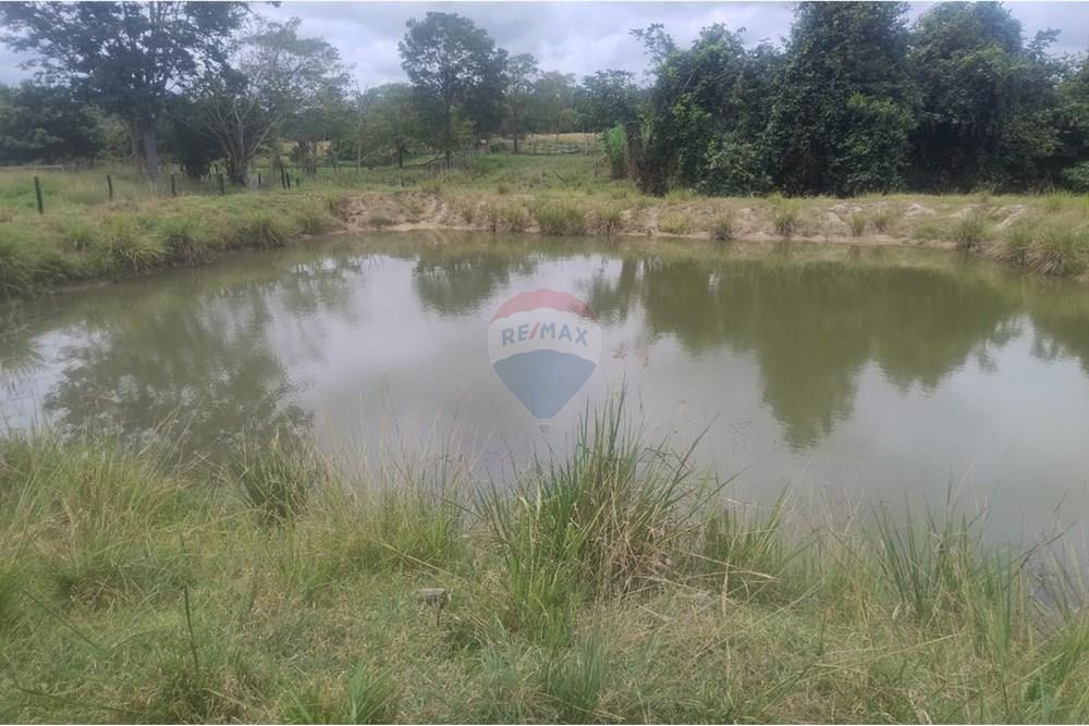 Chácara / Sítio / Fazenda - Venda - Confresa , Mato Grosso - IMG-20250926-WA0044.jpg - 720641046-11