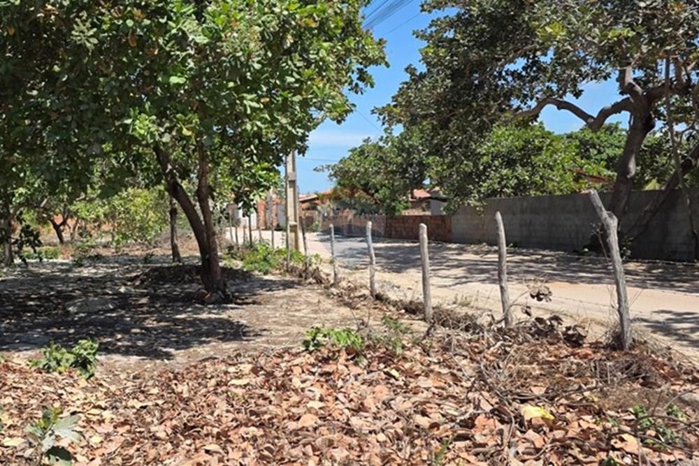 Terreno - Venda - Cruz , Ceará - 1000234204.jpg - 722341001-112