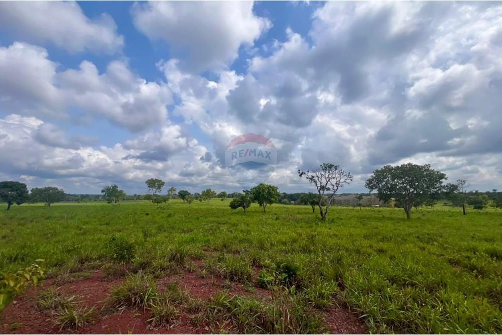 Fazenda - Venda - Araguaína , Tocantins - WhatsApp Image 2025-12-13 at 19.34.51 (1).jpeg - 720991010-81