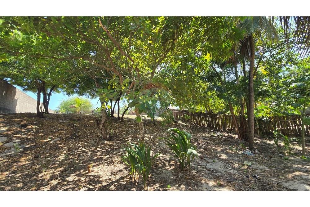 Terreno - Venda - Cruz , Ceará - 20250806_095529.jpg - 722341001-74