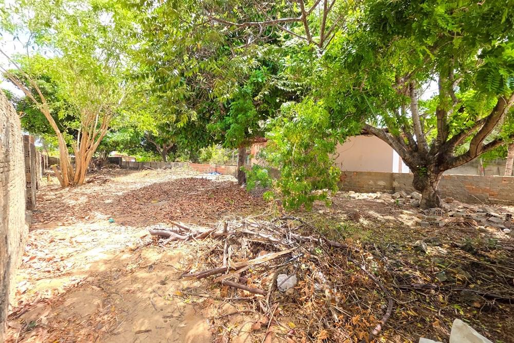 Casa Comercial - Venda - Parnamirim , Rio Grande do Norte - 20260113_103048.jpg - 720811043-14