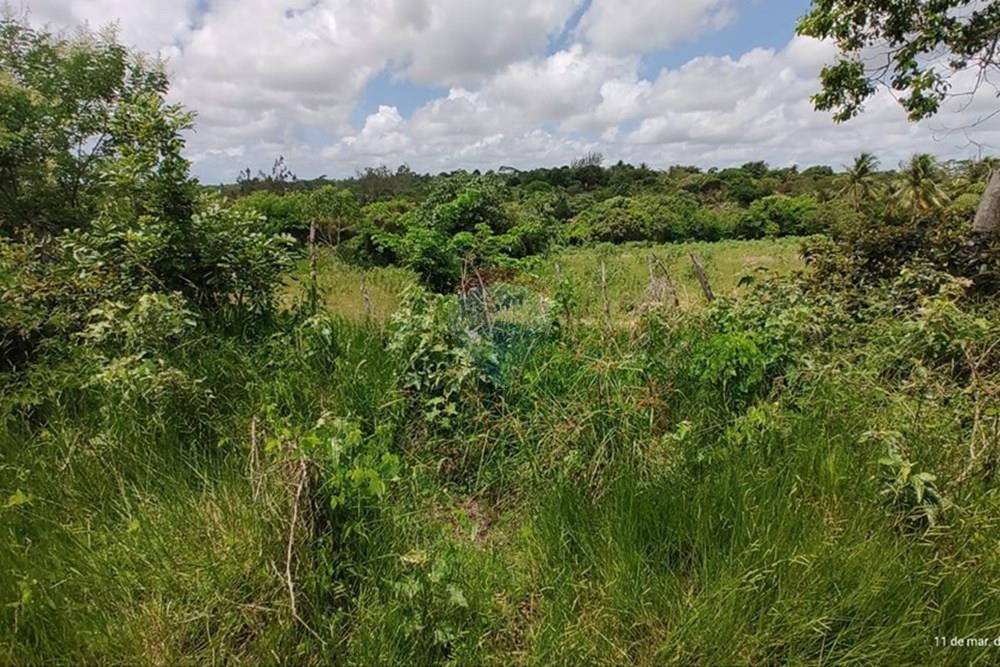 Terreno - Venda - Conde , Paraíba - WhatsApp Image 2025-03-12 at 09.15.14 (2).jpeg - 720871050-6