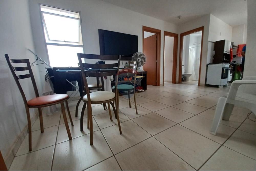 Apartamento - Venda - Anápolis , Goiás - WhatsApp Image 2025-11-14 at 19.08.30 (2).jpeg - 721991030-31