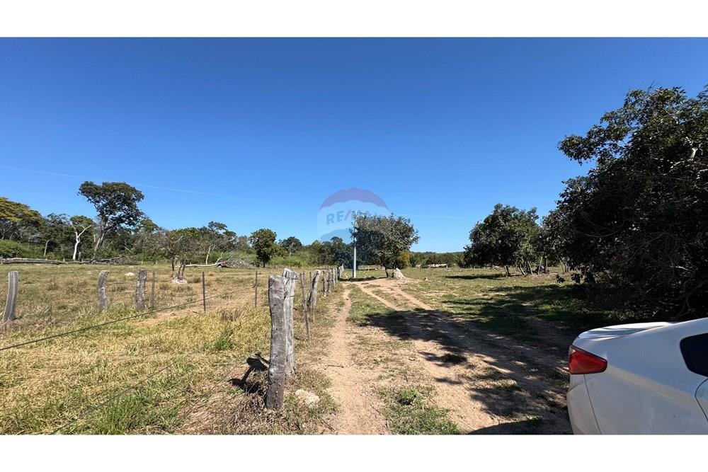 Fazenda - Venda - Santo Antônio do Leverger , Mato Grosso - 9b480762-12d7-41f9-8044-d236410bde72.jpeg - 720611035-41