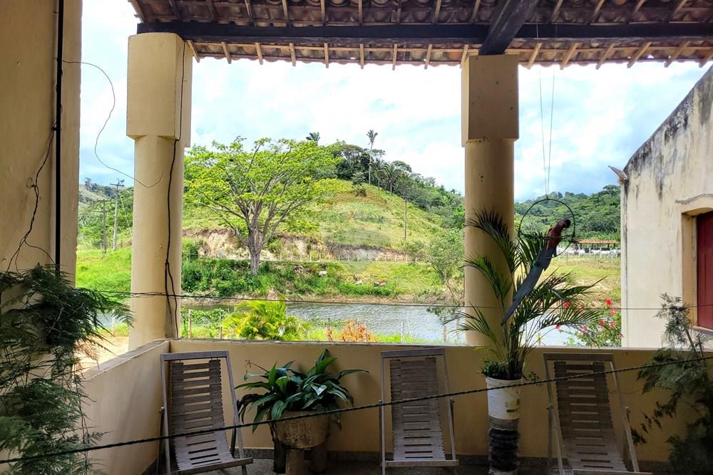 Chácara / Sítio / Fazenda - Venda - Areia , Paraíba - 20230206_115804.jpg - 722011055-52