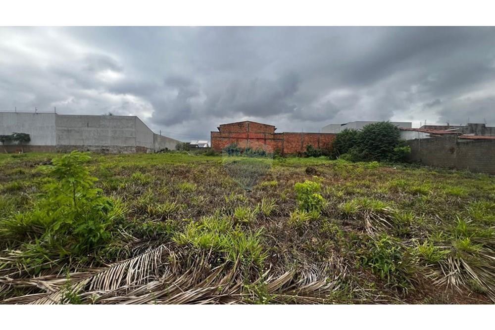 Terreno - Venda - Araguaína , Tocantins - WhatsApp Image 2025-11-17 at 15.29.52 (1).jpeg - 720991032-40