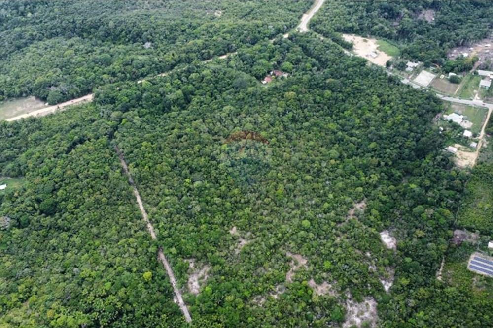 Terreno - Venda - Manaus , Amazonas - IMG-20251021-WA0174.jpg - 720721007-235