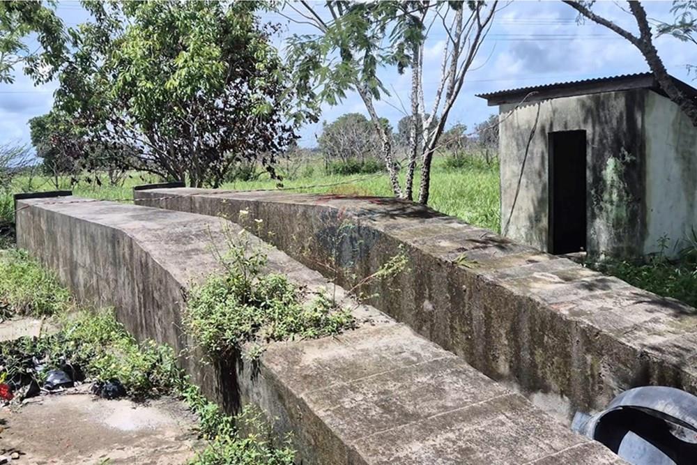 Galpão - Alugar - Pedras de Fogo , Paraíba - VideoCapture_20250401-175141.jpg - 722011055-40