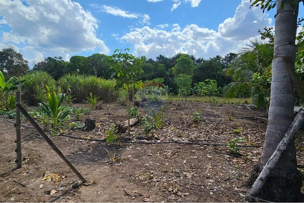 Chácara / Sítio / Fazenda - Venda - Araguaína , Tocantins - WhatsApp Image 2025-08-07 at 15.18.55 (2).jpeg - 722171030-16